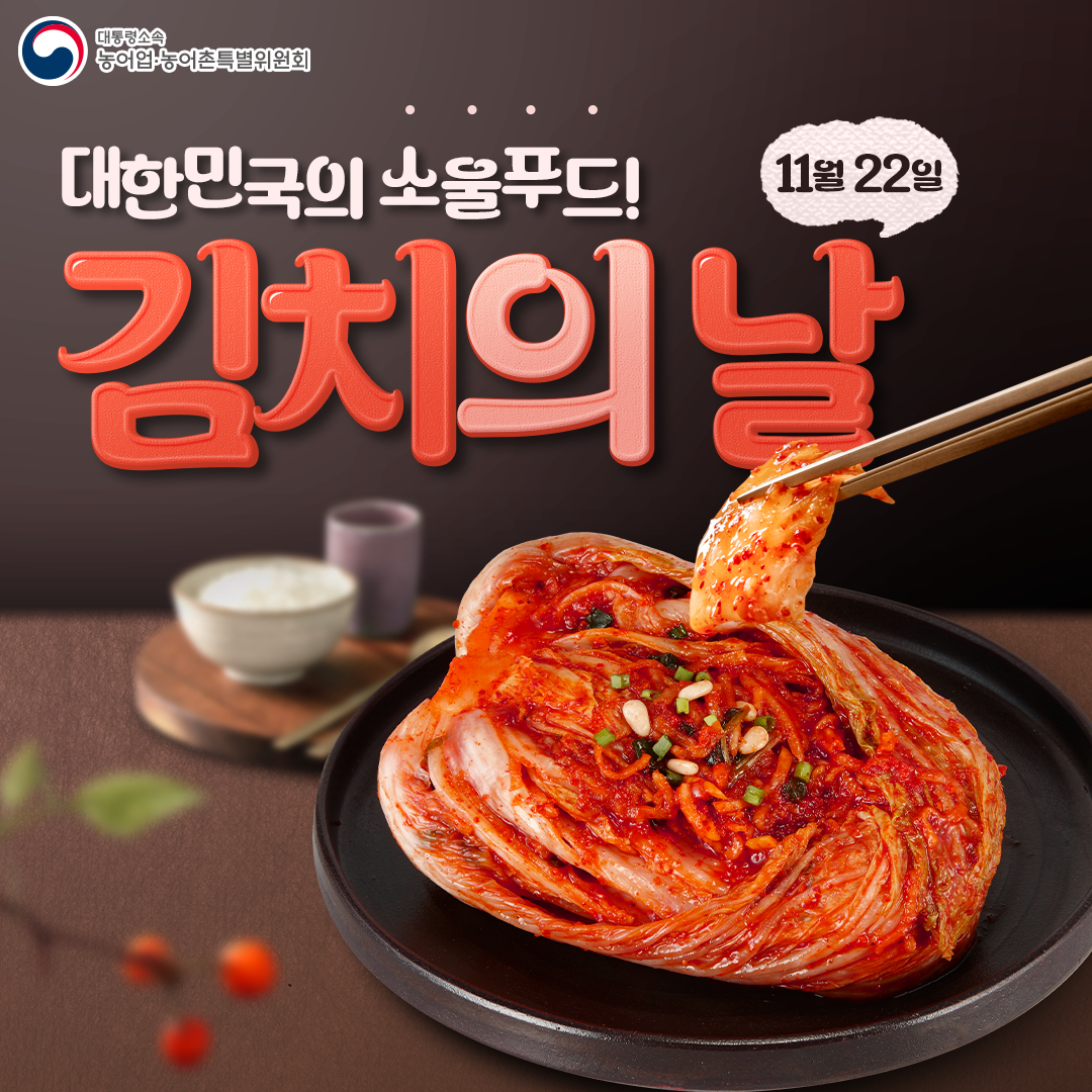 제이레퍼토리 카드뉴스